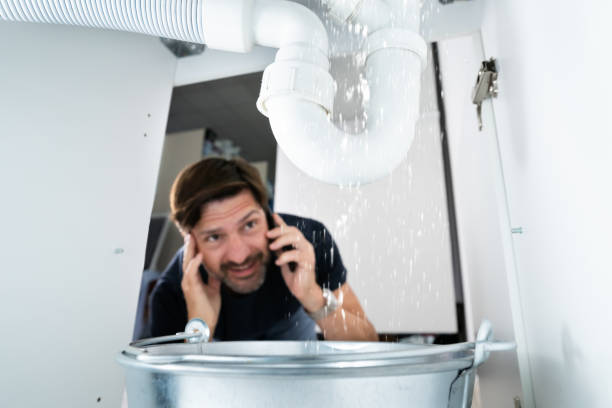 Best Plumbing Inspection Services  in Ouray, CO