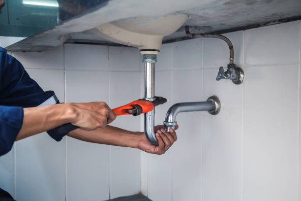 Best Local Plumber Services  in Ouray, CO