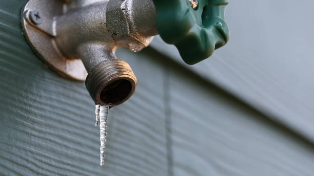 Best Sewer Line Repair  in Ouray, CO